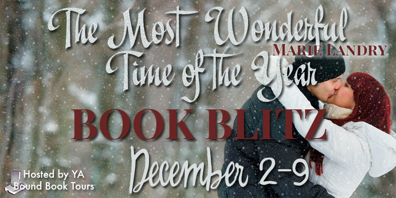 Book Blitz + Giveaway – The Most Wonderful Time of the Year